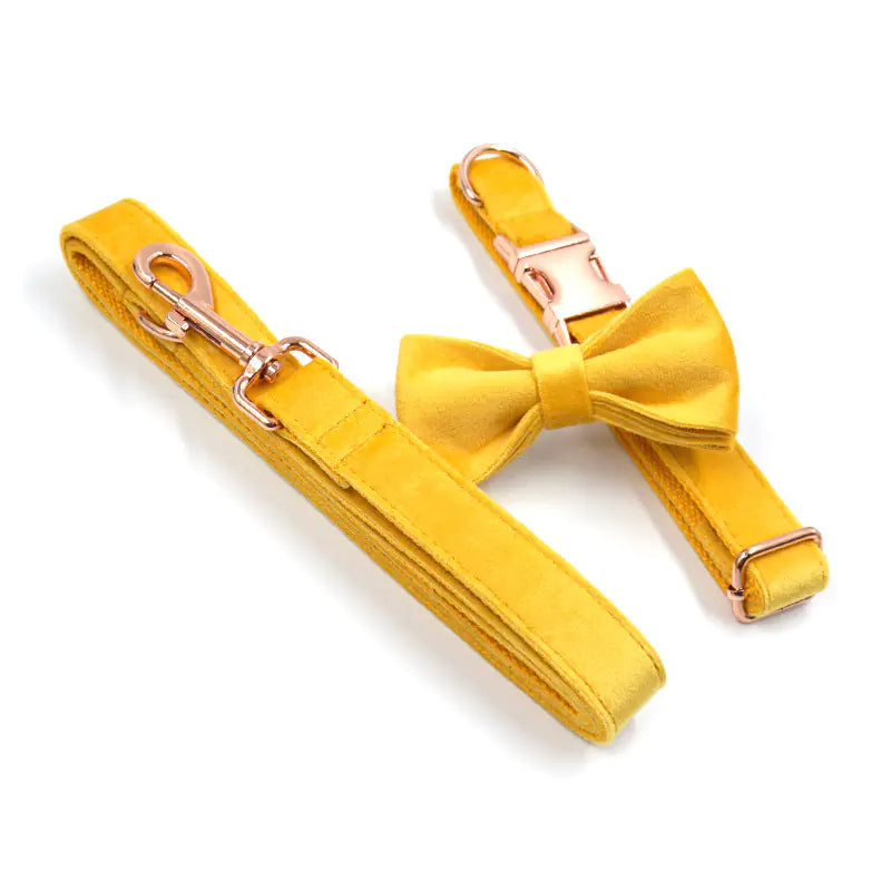 Velvet Yellow Dog Collar with Bow Set